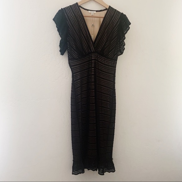 MAX STUDIO | NWT Lace Sheath Flutter Sleeve Midi Dress - Picture 11 of 17